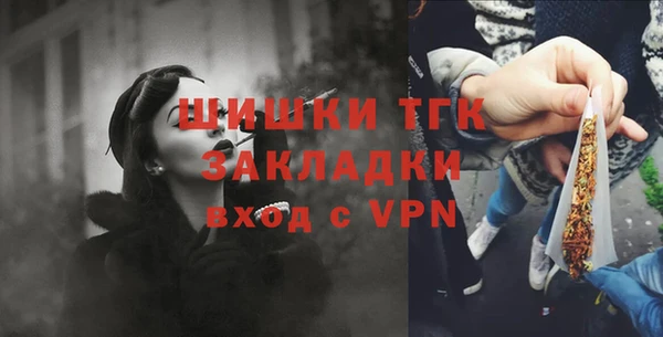 шишки Белоозёрский