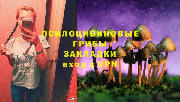 герыч Белокуриха