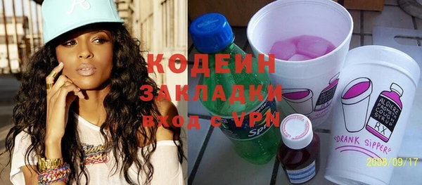 шишки Белоозёрский