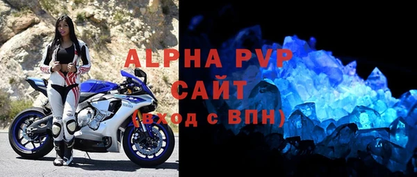 шишки Белоозёрский