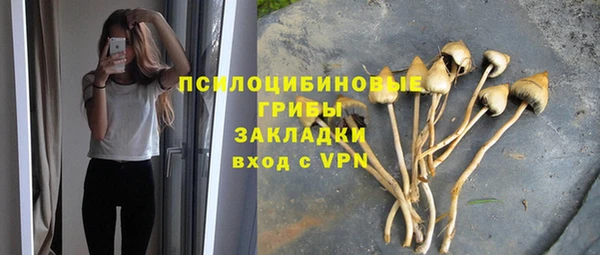 дмт Беломорск