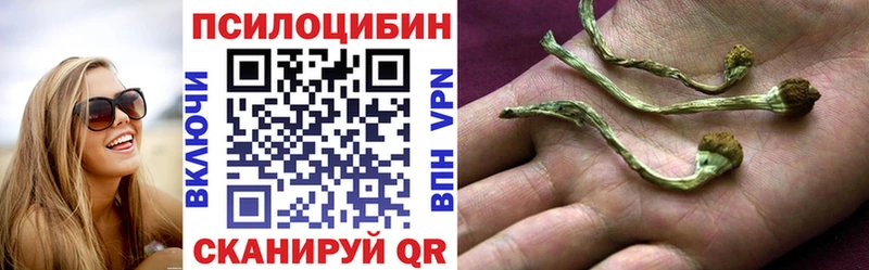 OMG рабочий сайт закладки Красный Кут Галлюциногенные грибы Cubensis